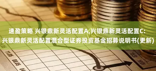 速盈策略 兴银鼎新灵活配置A,兴银鼎新灵活配置C: 兴银鼎新灵活配置混合型证券投资基金招募说明书(更新)
