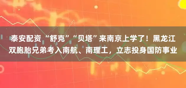泰安配资 “舒克”“贝塔”来南京上学了！黑龙江双胞胎兄弟考入南航、南理工，立志投身国防事业