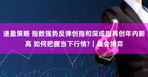 速盈策略 指数强势反弹创指和深成指再创年内新高 如何把握当下行情?｜晨会博弈